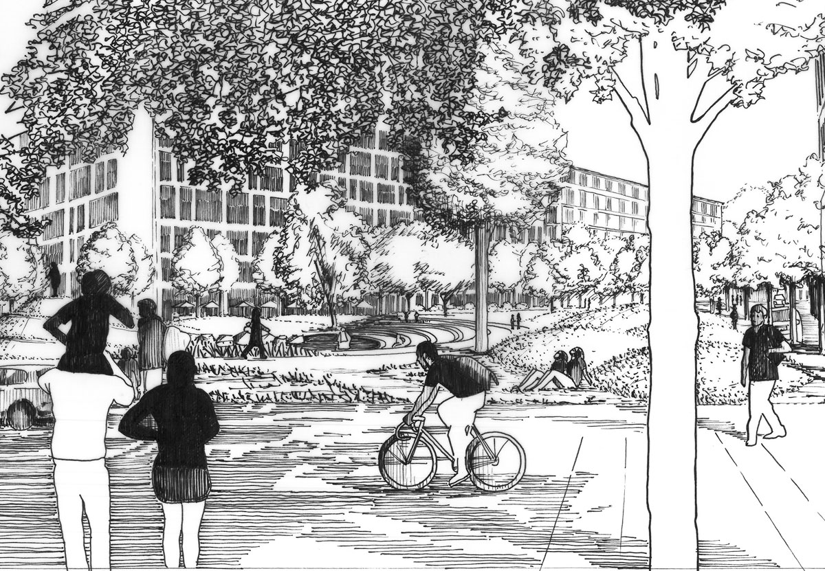 About Alexandra Steed